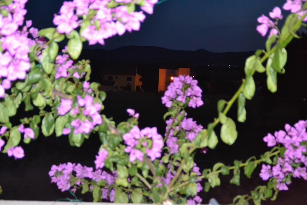 Apartment Klara Biograd Na Moru Pokój zdjęcie